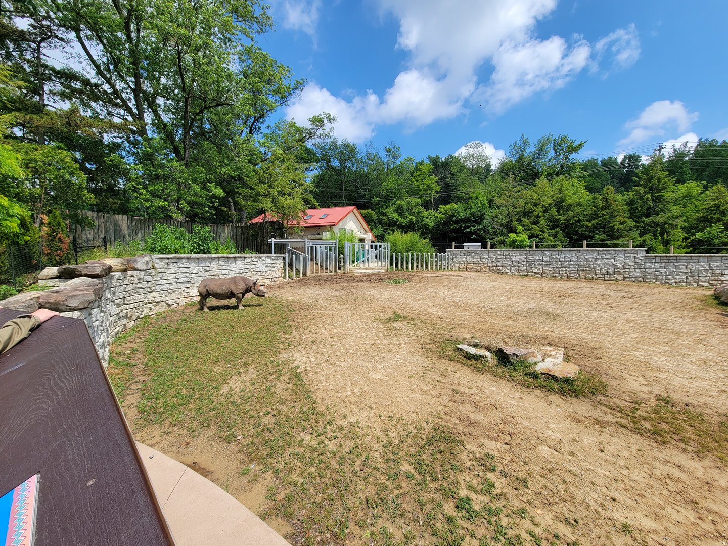 Cleveland Zoo - Africa, Eastern black rhino