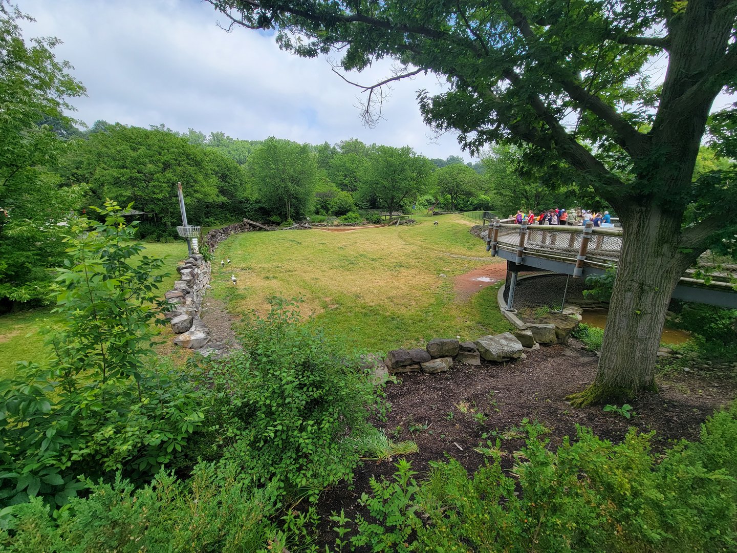 Cleveland Zoo - Africa, Giraffes, bontebok, white stork
