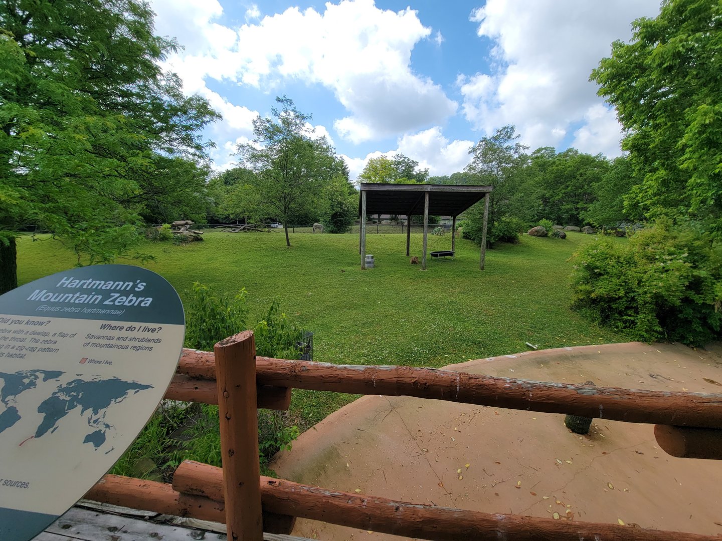 Cleveland Zoo - Africa, Hartmann's mountain zebra, etc. yard