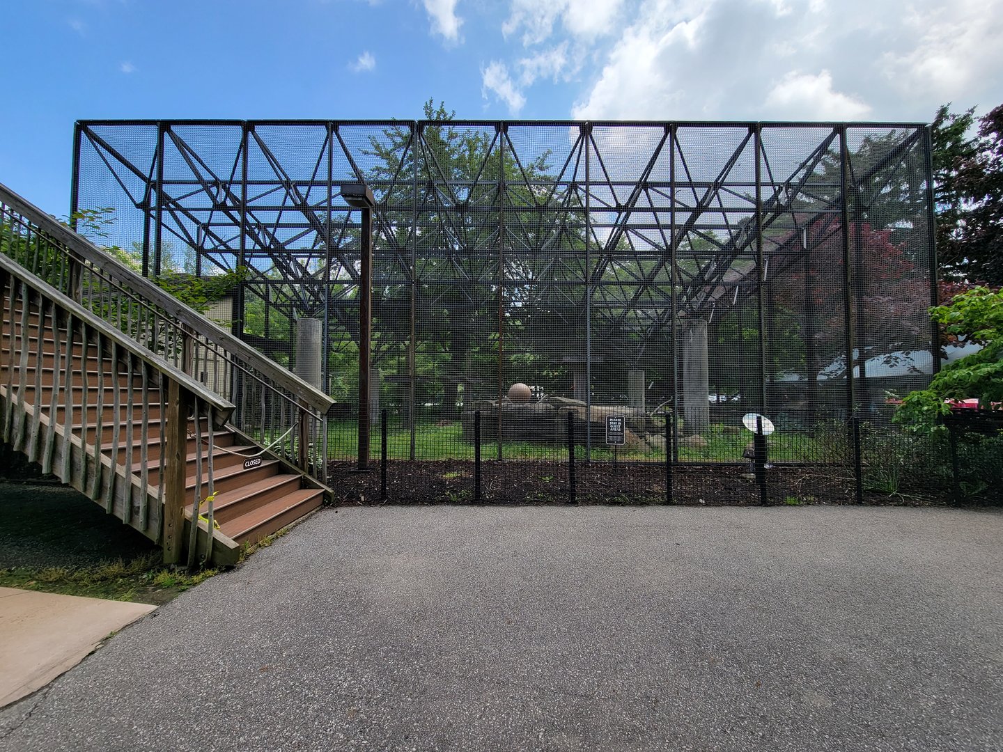 Cleveland Zoo - Africa, Red panda