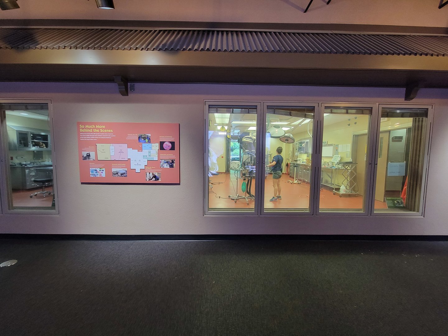 Cleveland Zoo - Africa, Vet building