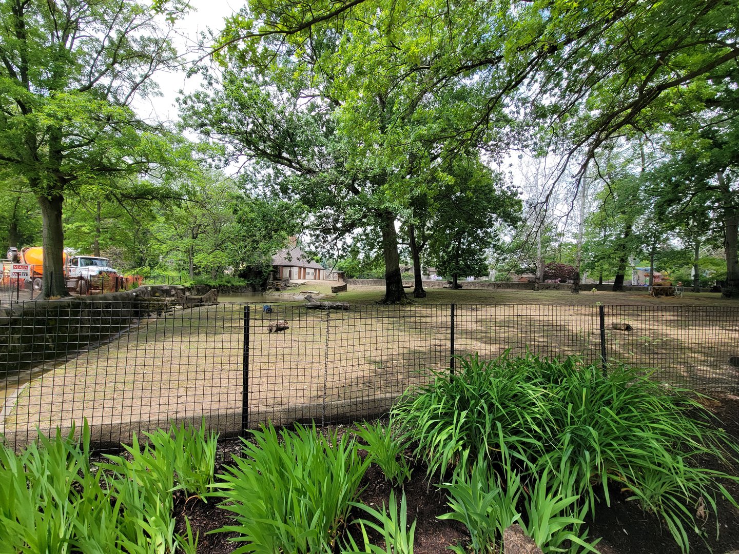 Cleveland Zoo - American bison