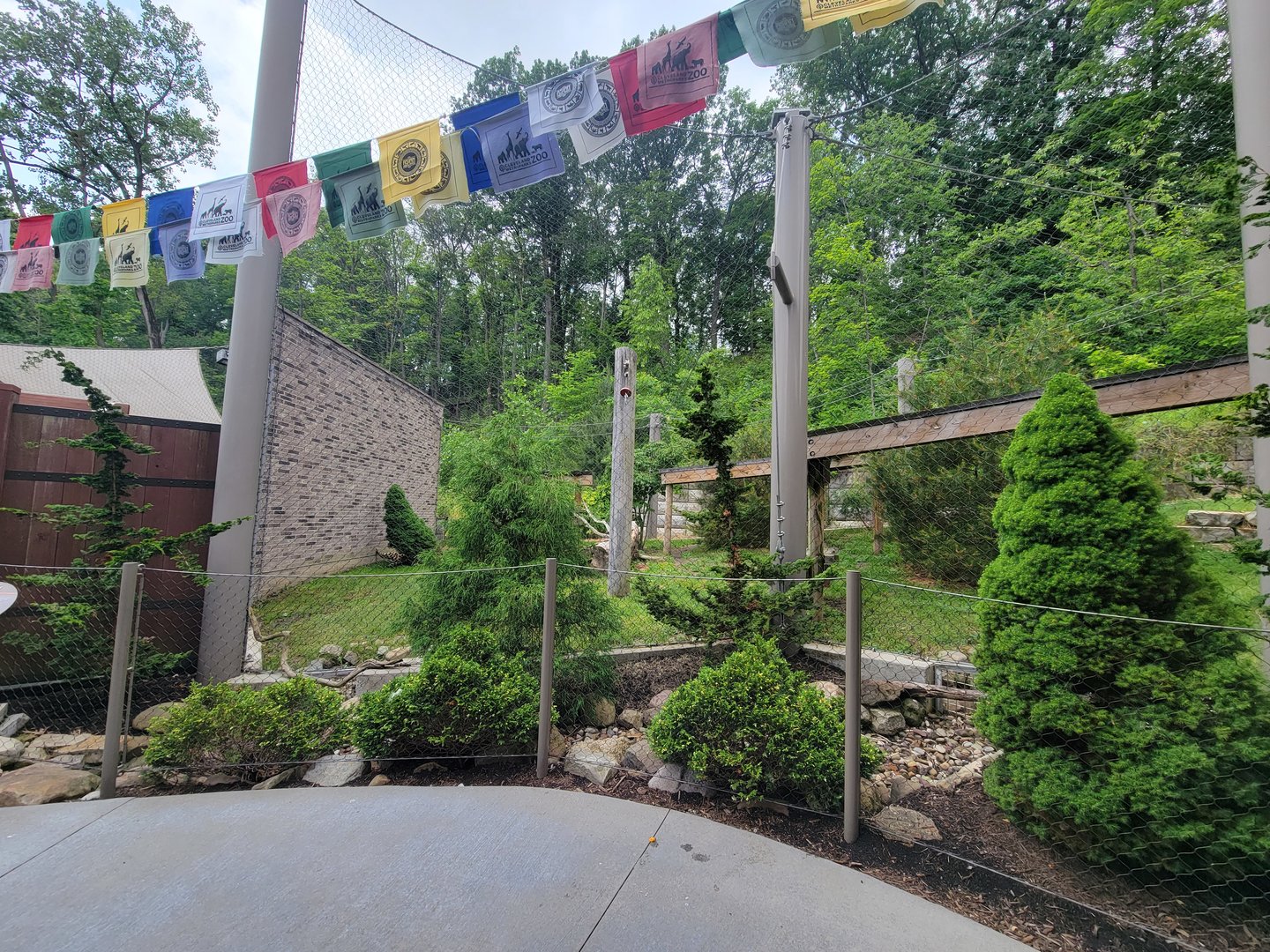 Cleveland Zoo - Asia Passage, a weird position for a leopard :)