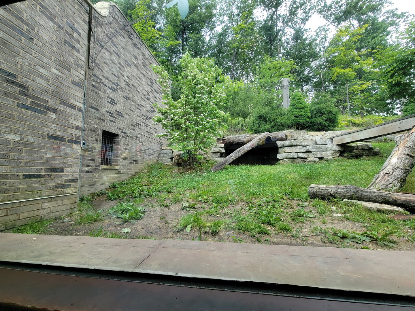 Cleveland Zoo - Asia Passage