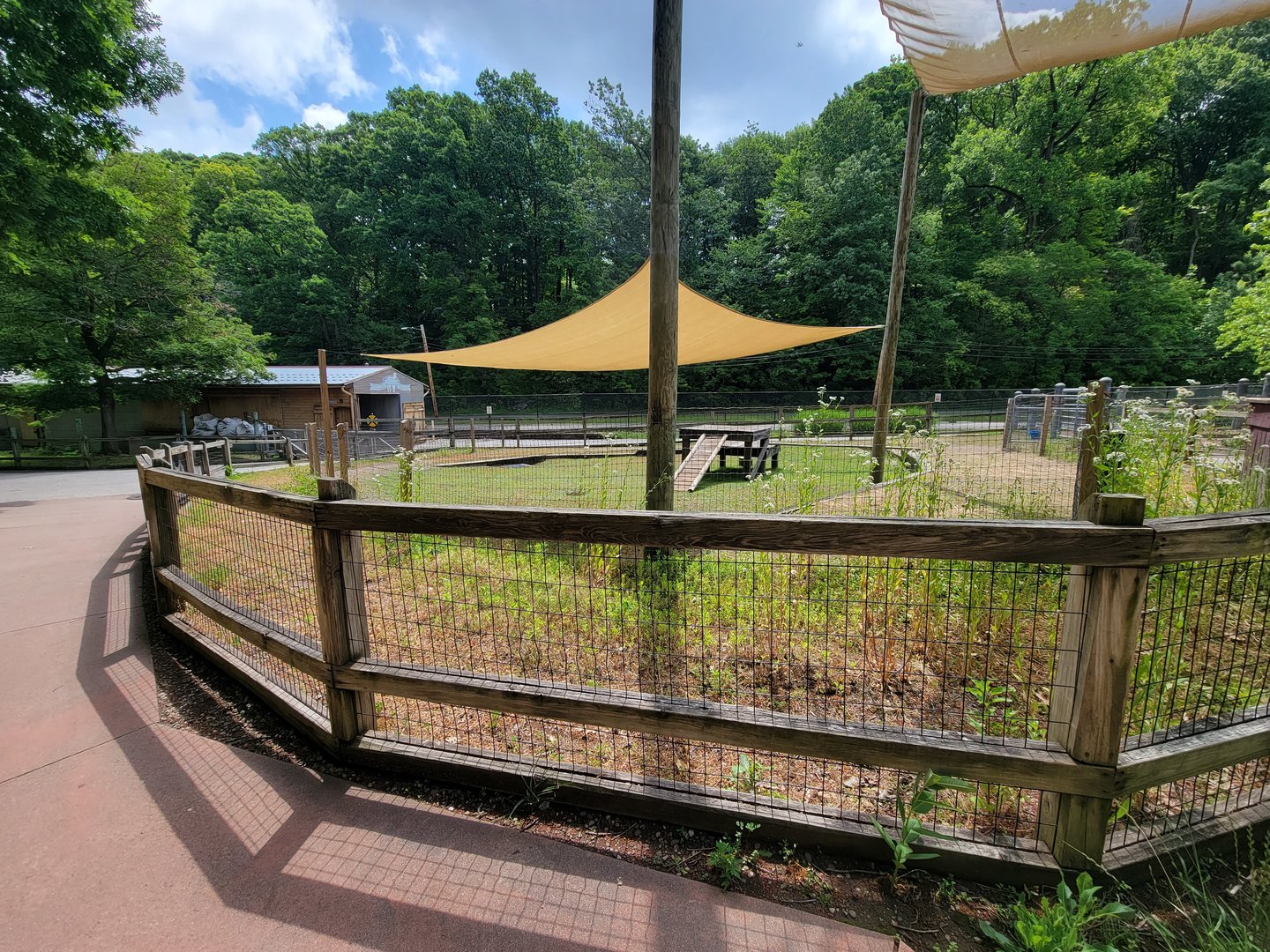 Cleveland Zoo - Australia, another goat yard