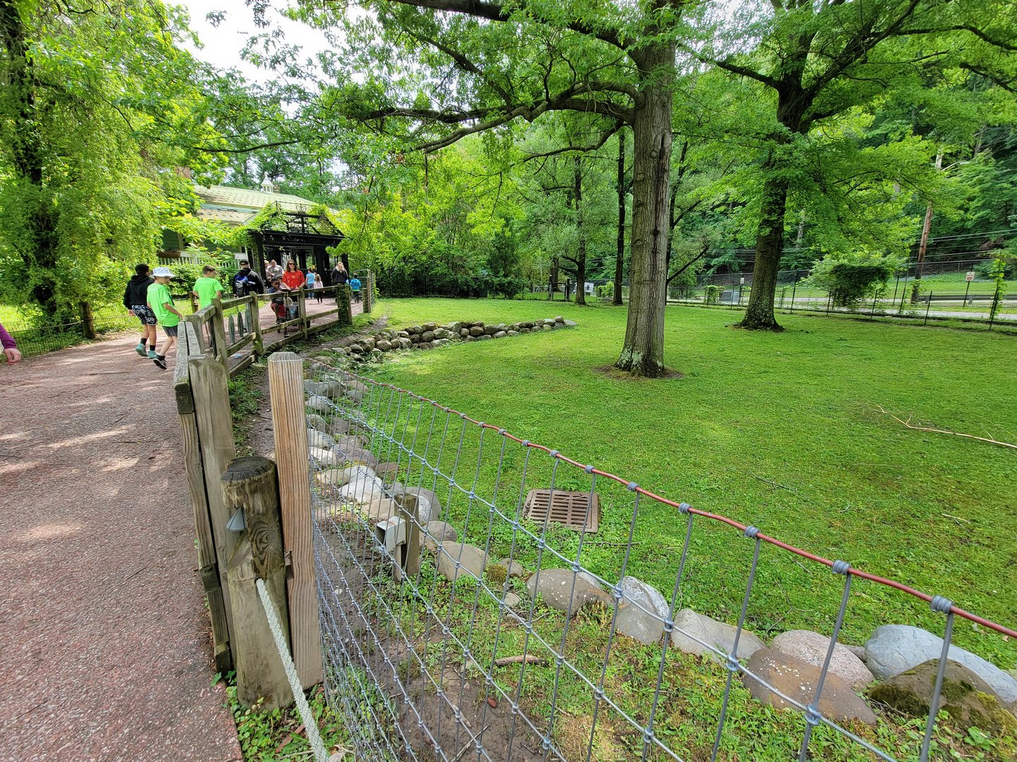 Cleveland Zoo - Australia, Bennett's wallaby, common wallaroo