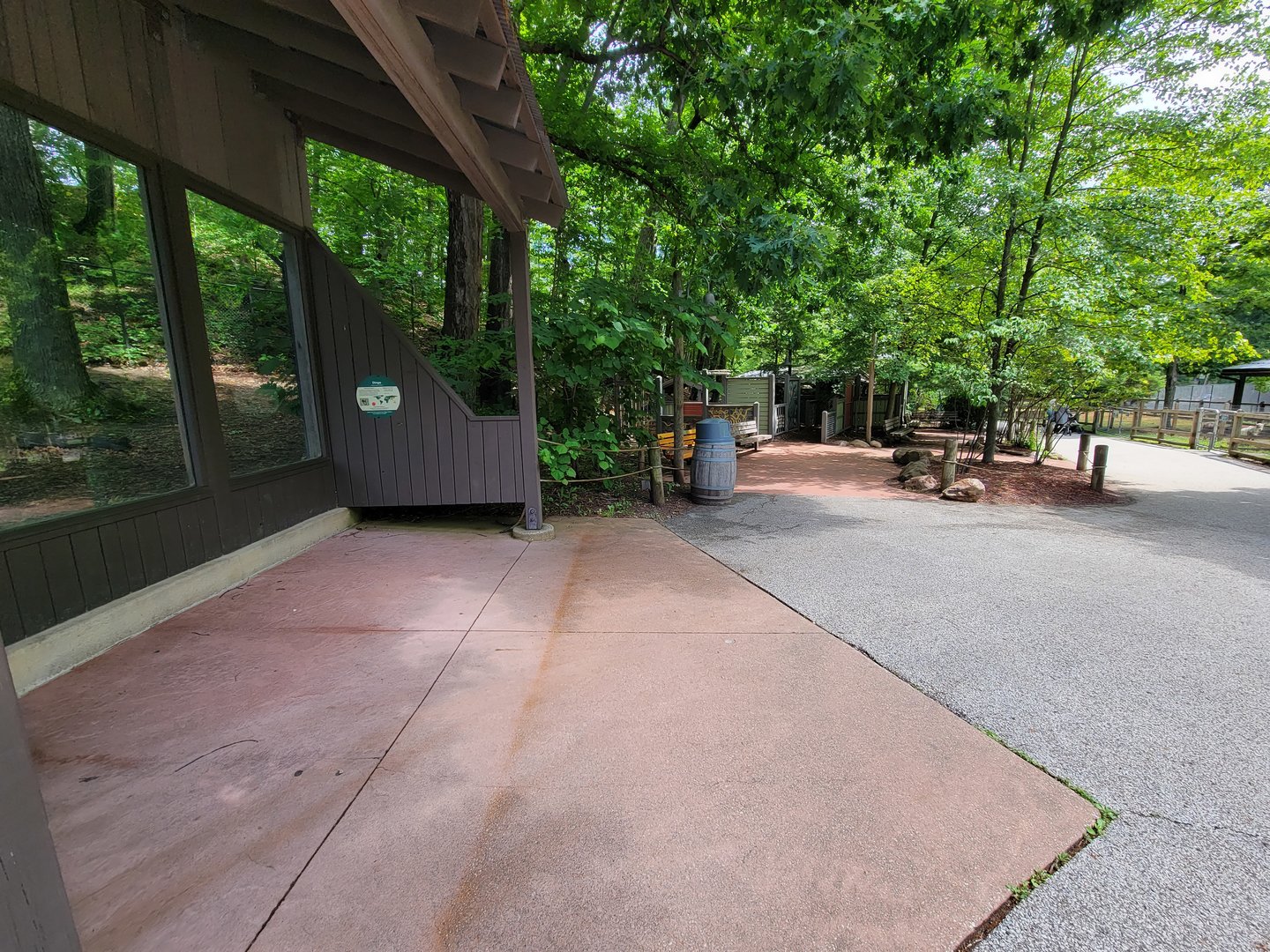 Cleveland Zoo - Australia, Dingo viewing