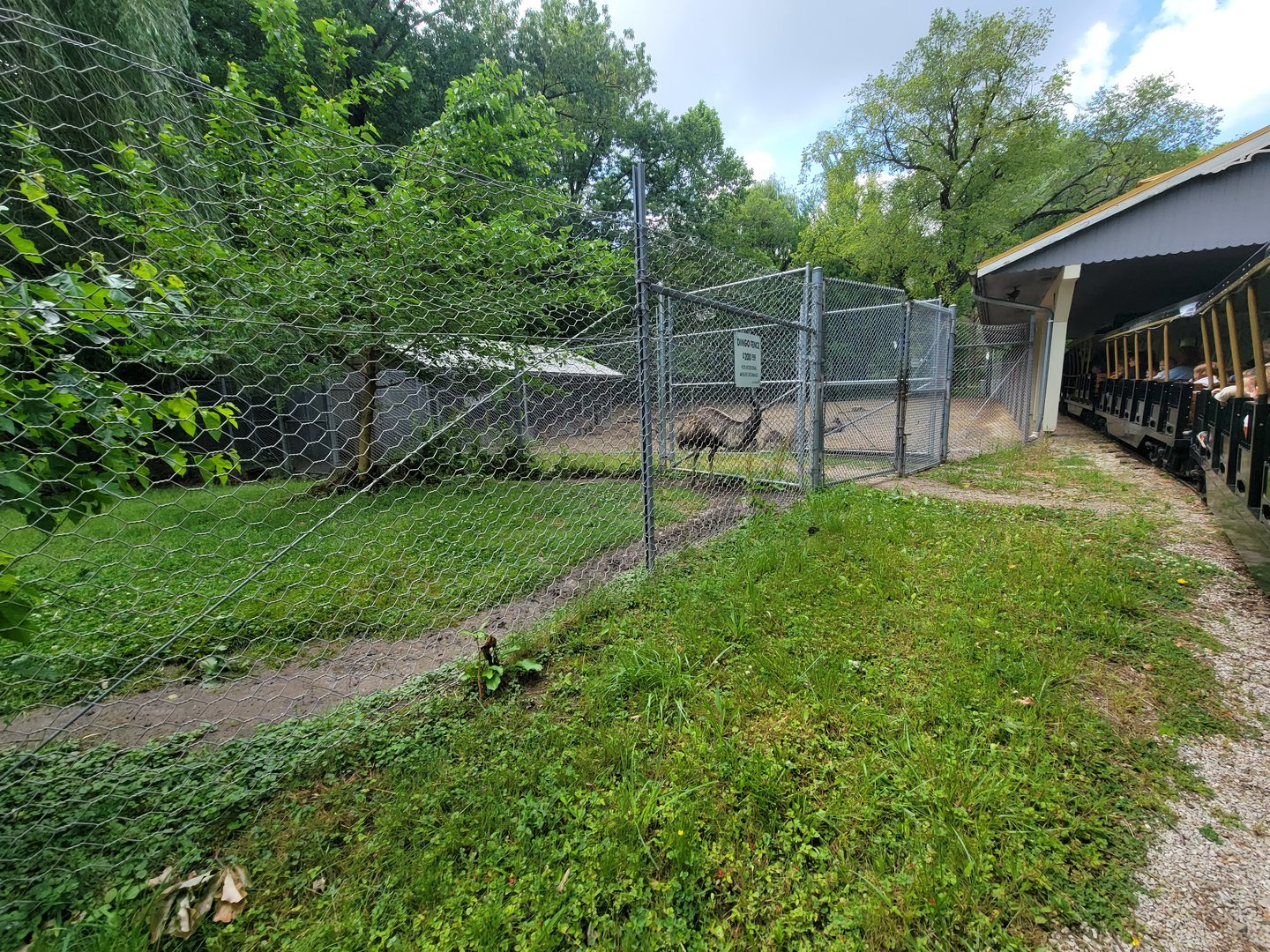 Cleveland Zoo - Australia, Emus