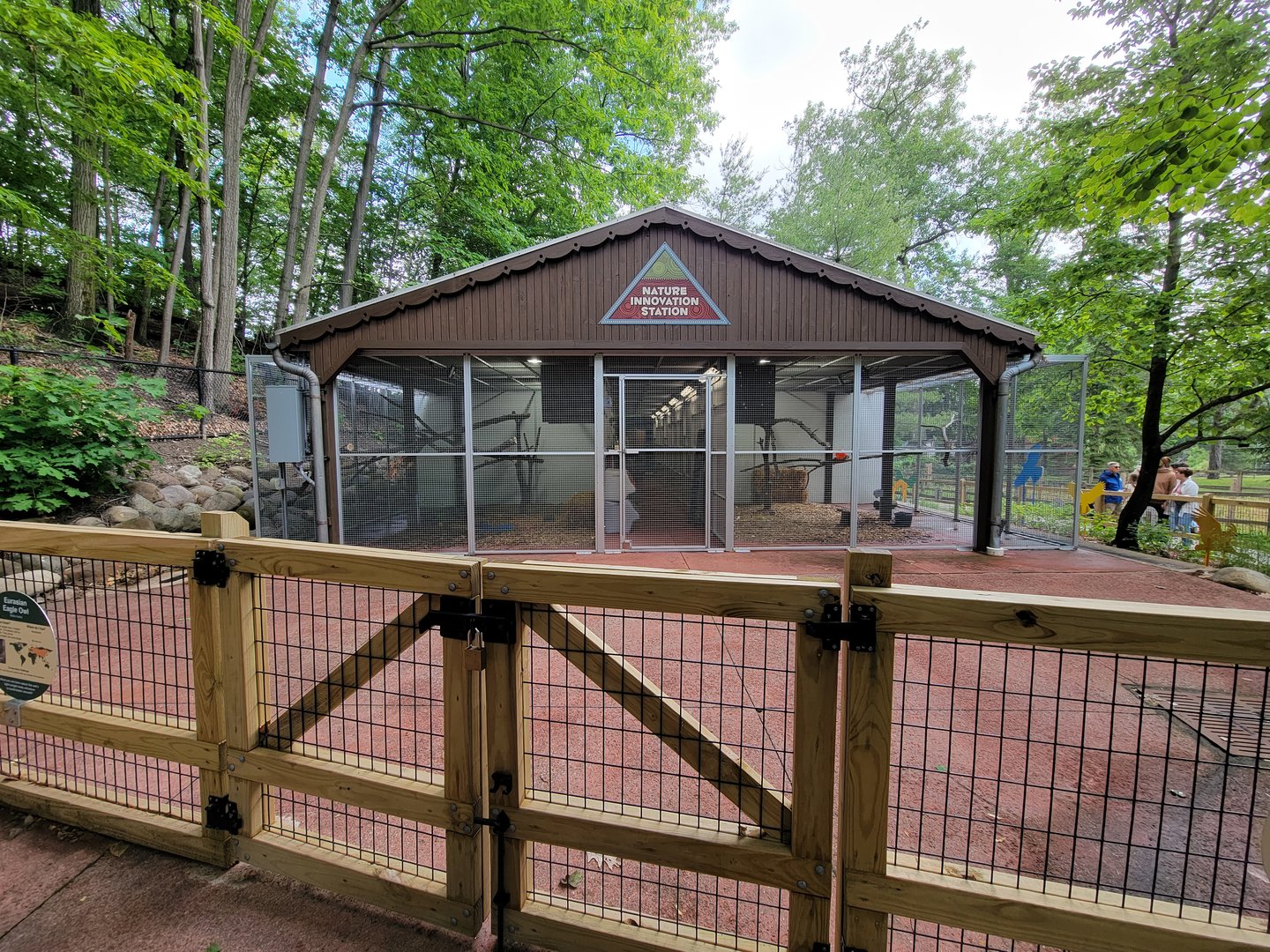 Cleveland Zoo - Australia, Eurasian eagle-owl / common barn owl