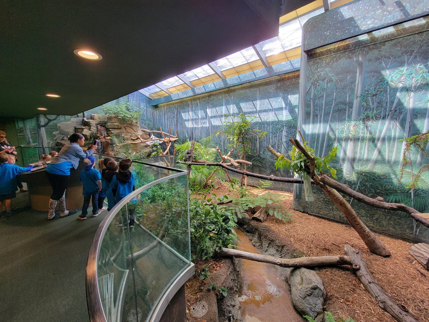 Cleveland Zoo - Australia, Koalas and tree kangaroos building