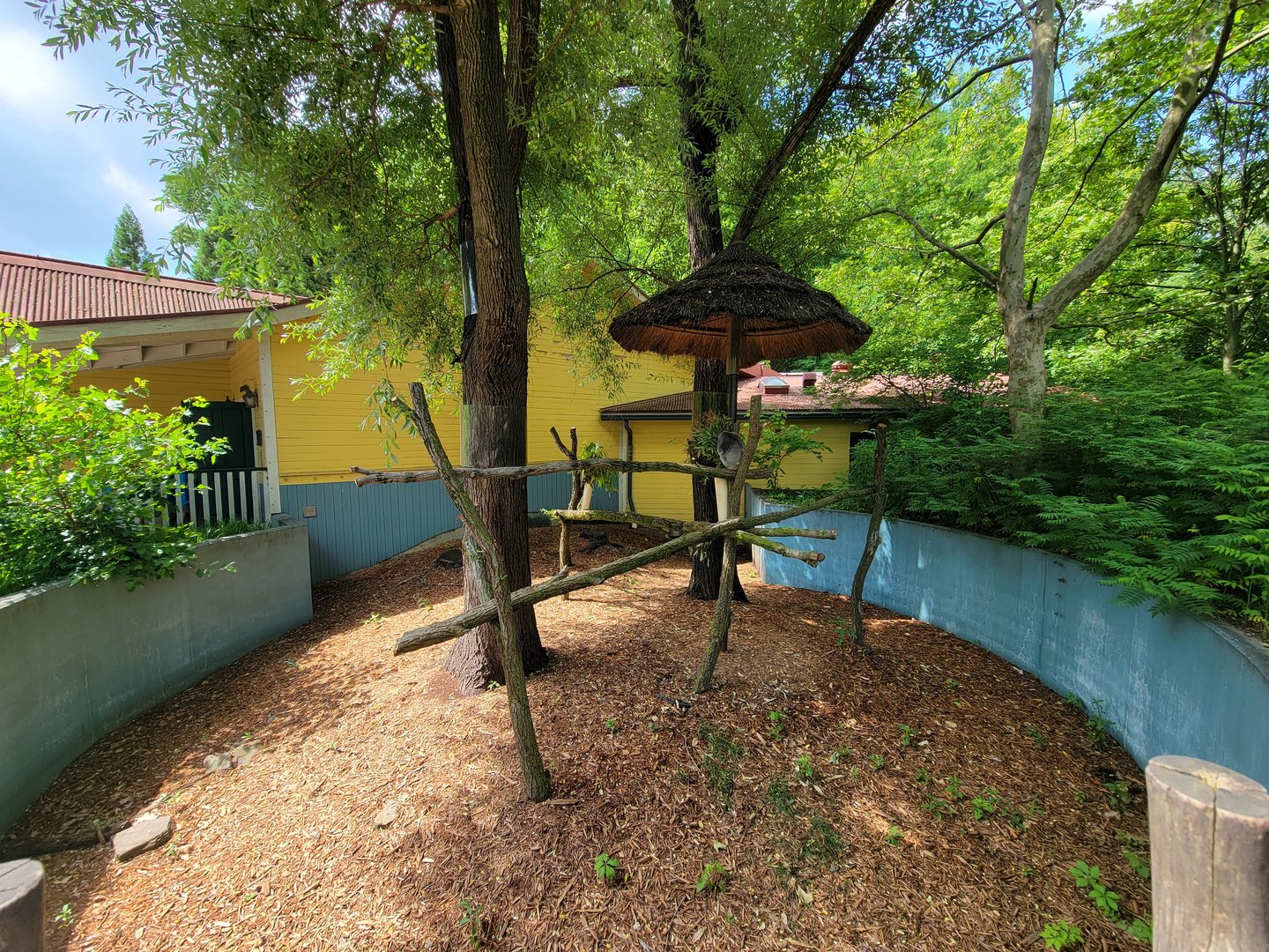 Cleveland Zoo - Australia, Koalas outside area