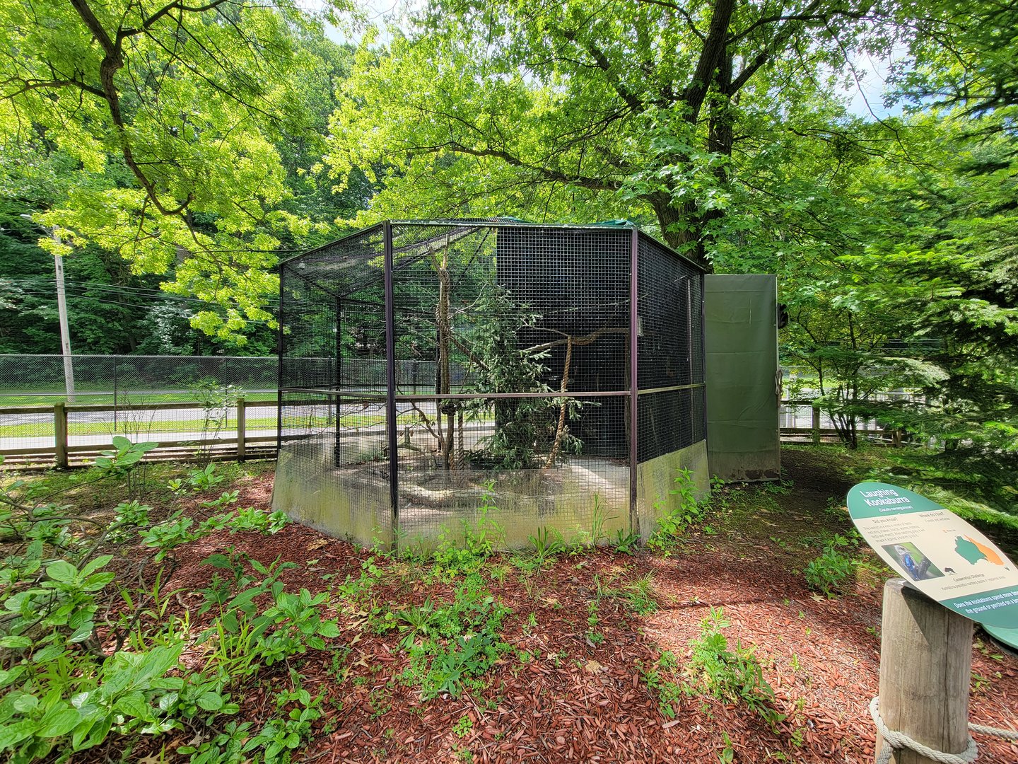 Cleveland Zoo - Australia, Laughing kookaburra / sulphur-crested cockatoo