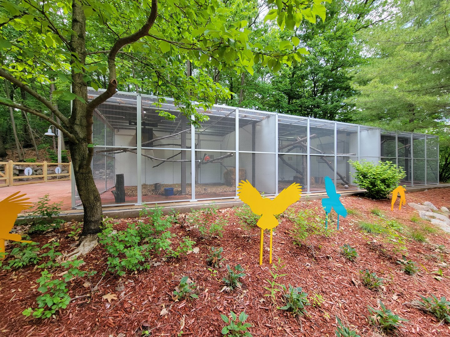 Cleveland Zoo - Australia, Nature Innovation Station, common barn owl on left