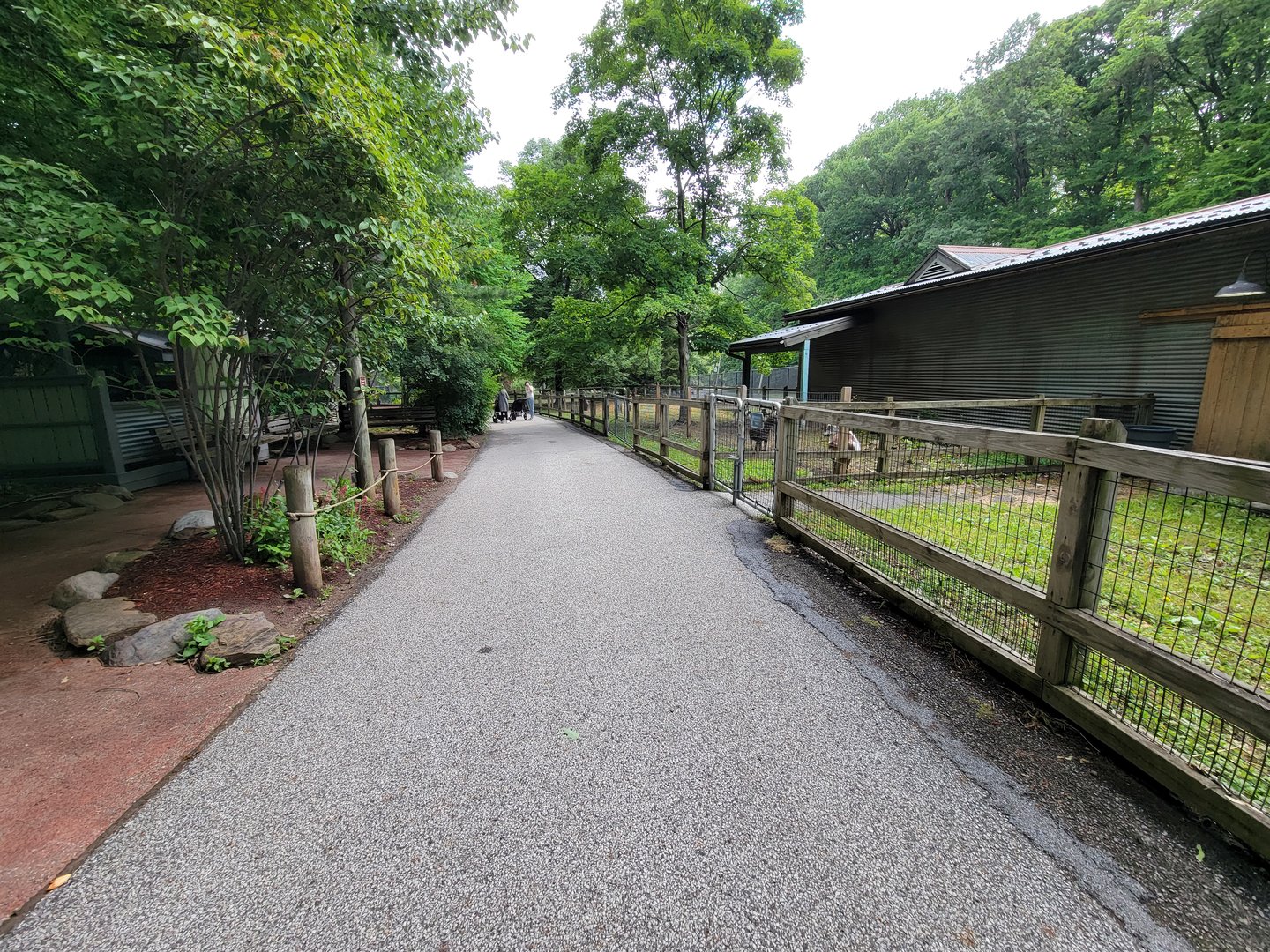 Cleveland Zoo - Australia, path
