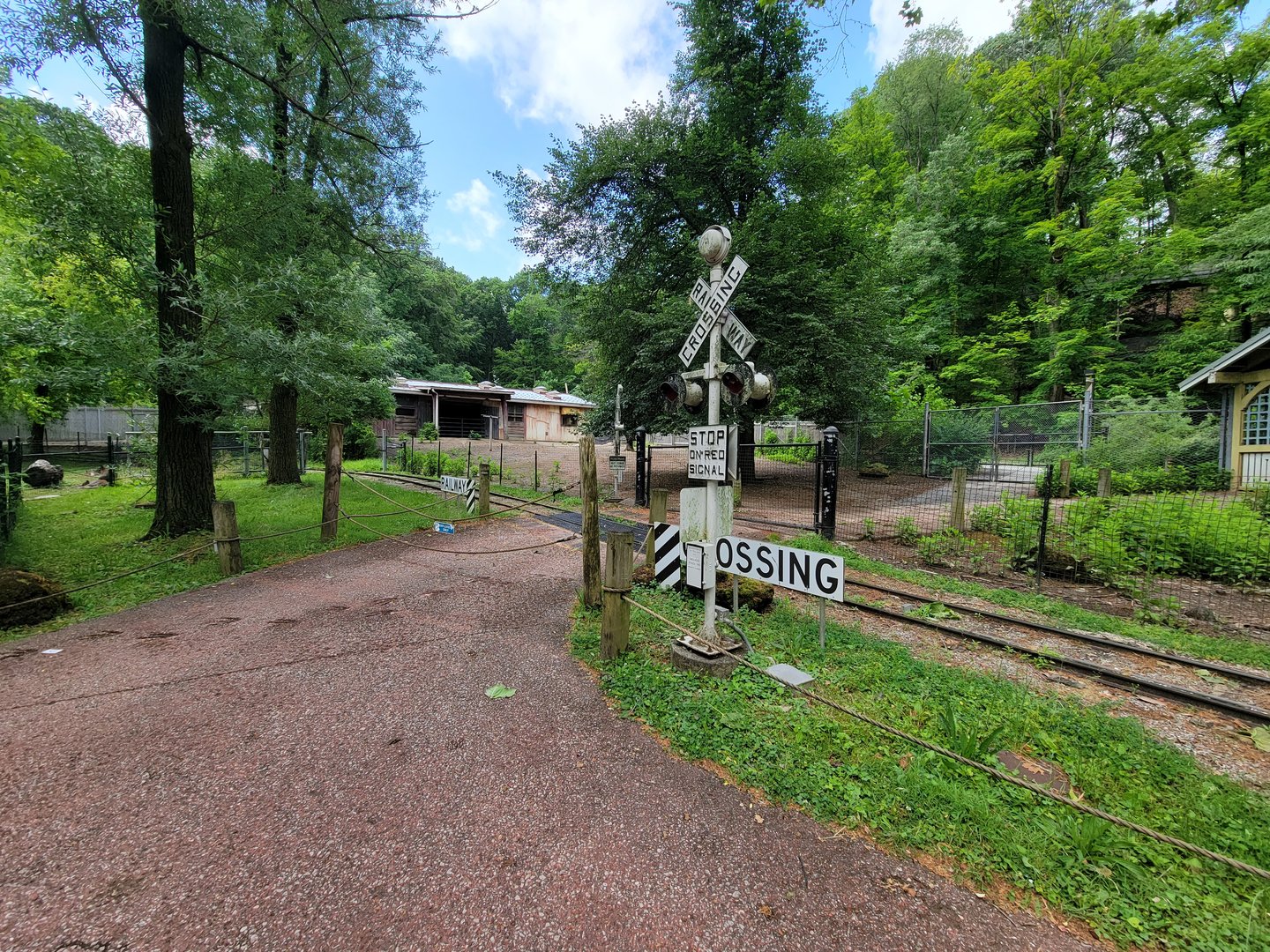 Cleveland Zoo - Australia, Red kangaroos