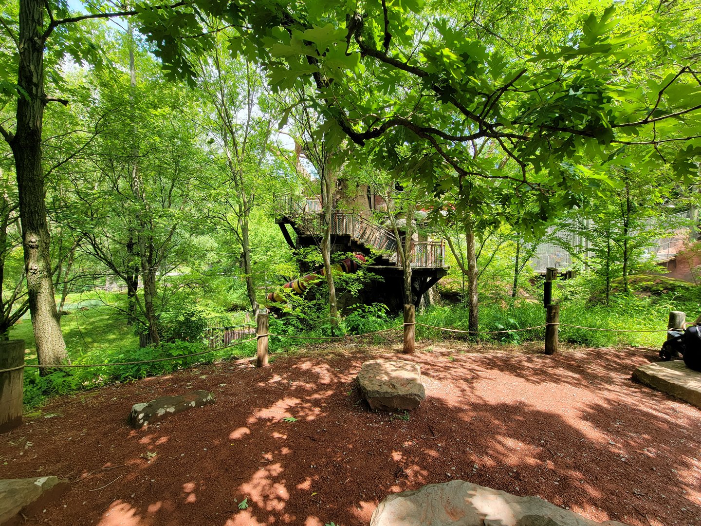 Cleveland Zoo - Australia, Yagga tree