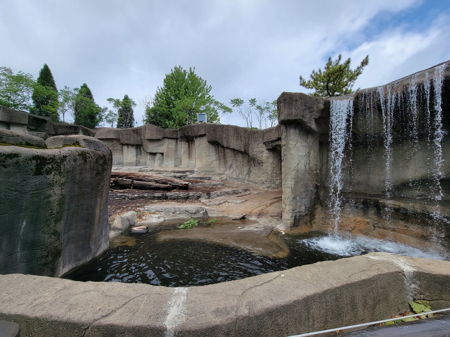 Cleveland Zoo - Grizzly bears