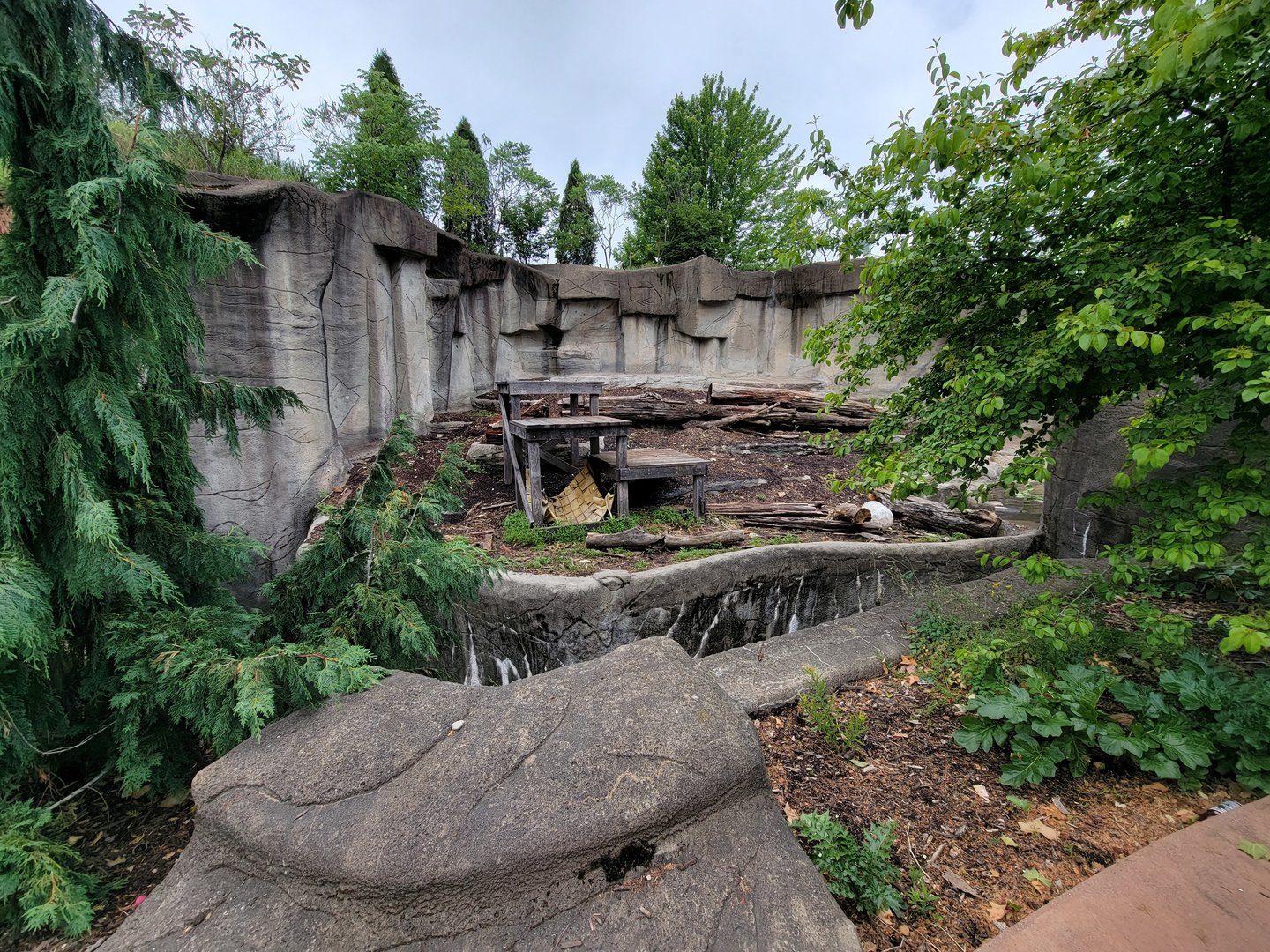 Cleveland Zoo - Grizzly bears