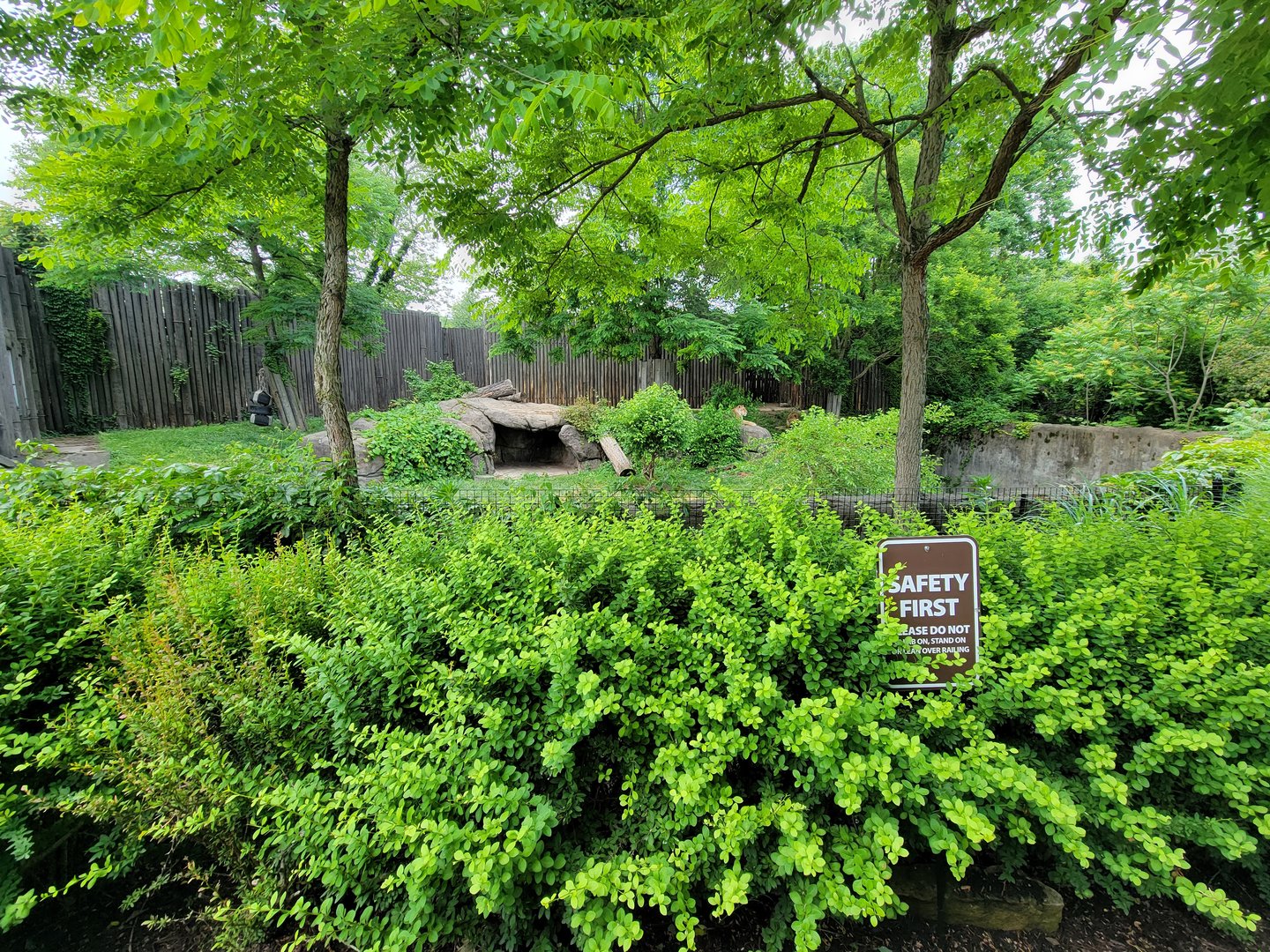Cleveland Zoo - Lions