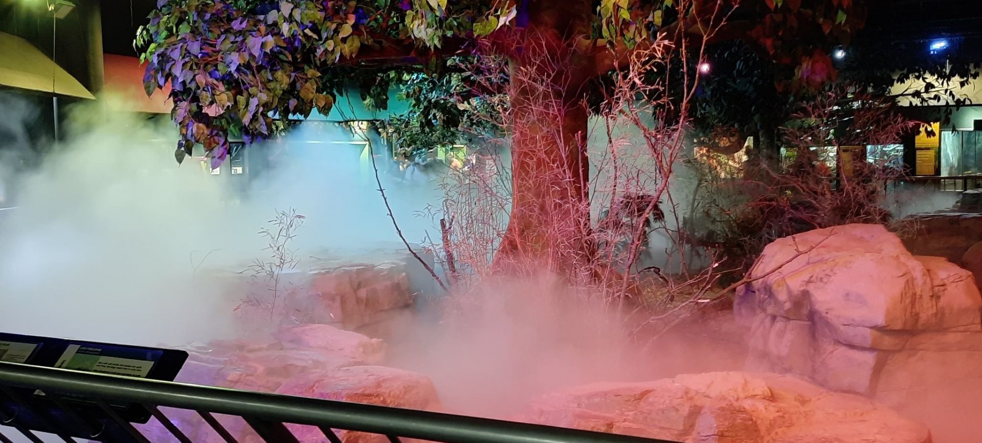 Cleveland Zoo, May 2022, Fog Island