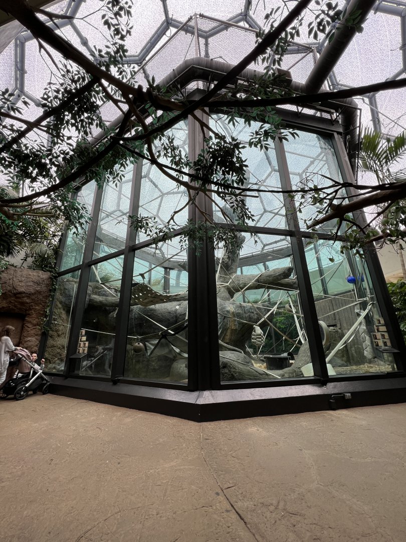 Cleveland Zoo Orangutan Exhibit