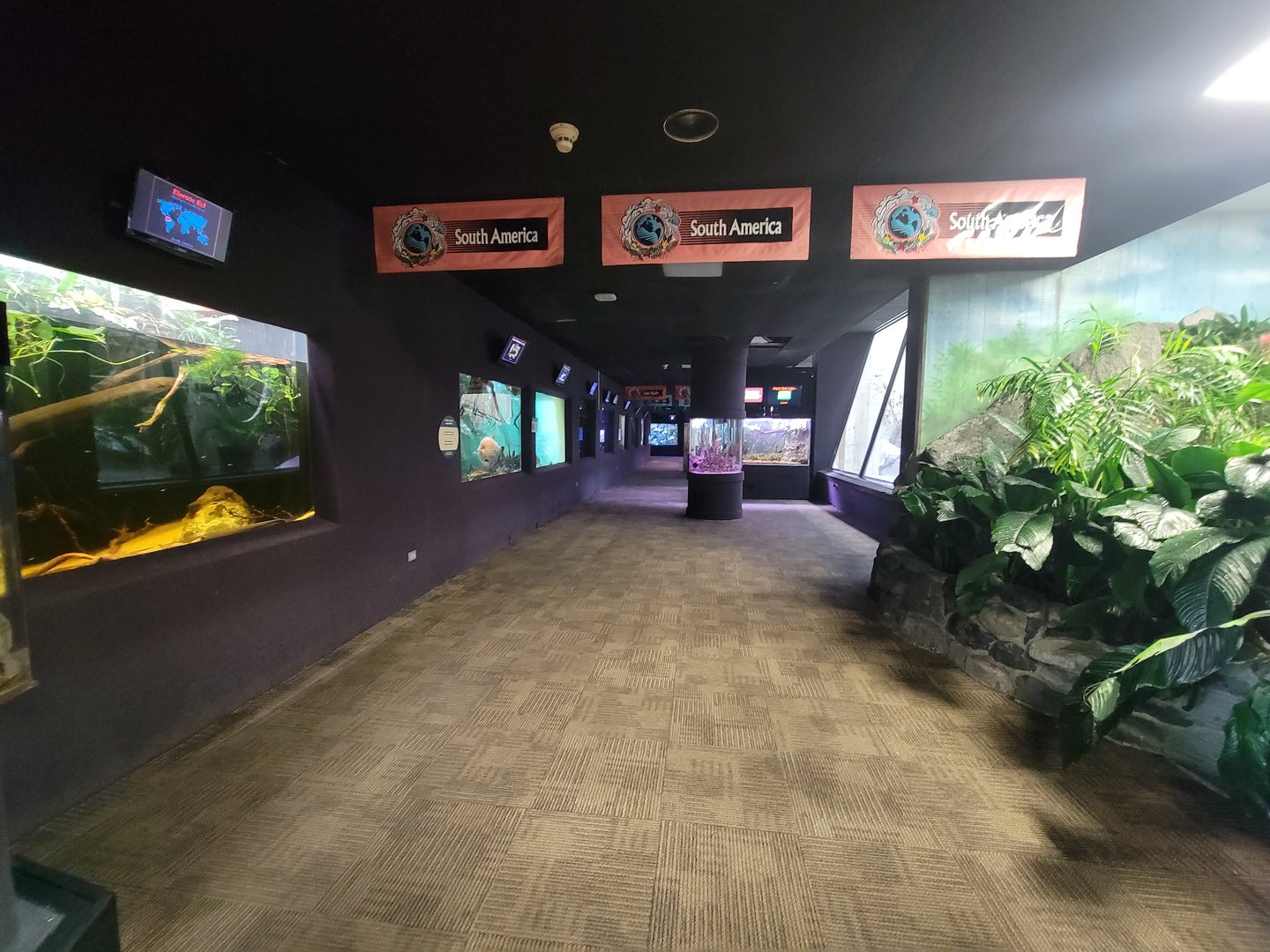 Cleveland Zoo - PCA, Aquatics on left, primates on right
