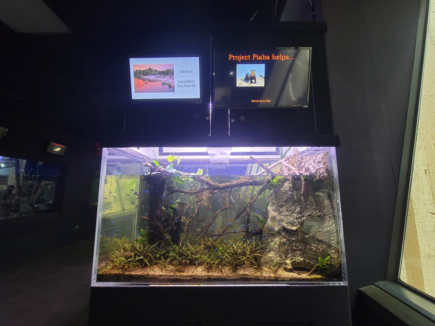 Cleveland Zoo - PCA, fish tank