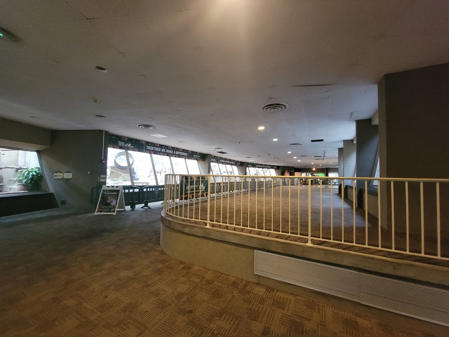 Cleveland Zoo - PCA, Gorillas