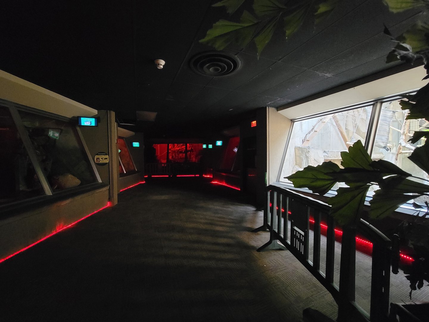 Cleveland Zoo - PCA, Nocturnal area