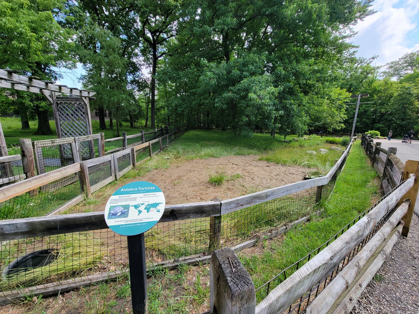 Cleveland Zoo - PCA outside, Aldabra tortoise