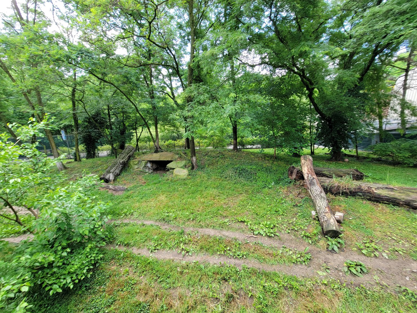 Cleveland Zoo - PCA outside, Cheetah yard