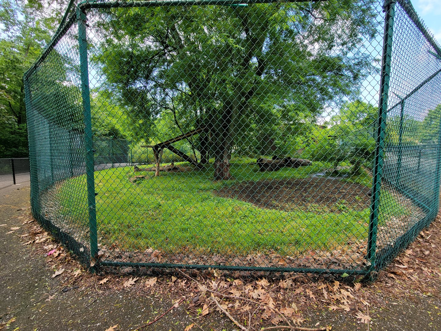 Cleveland Zoo - PCA outside, Cheetah yard