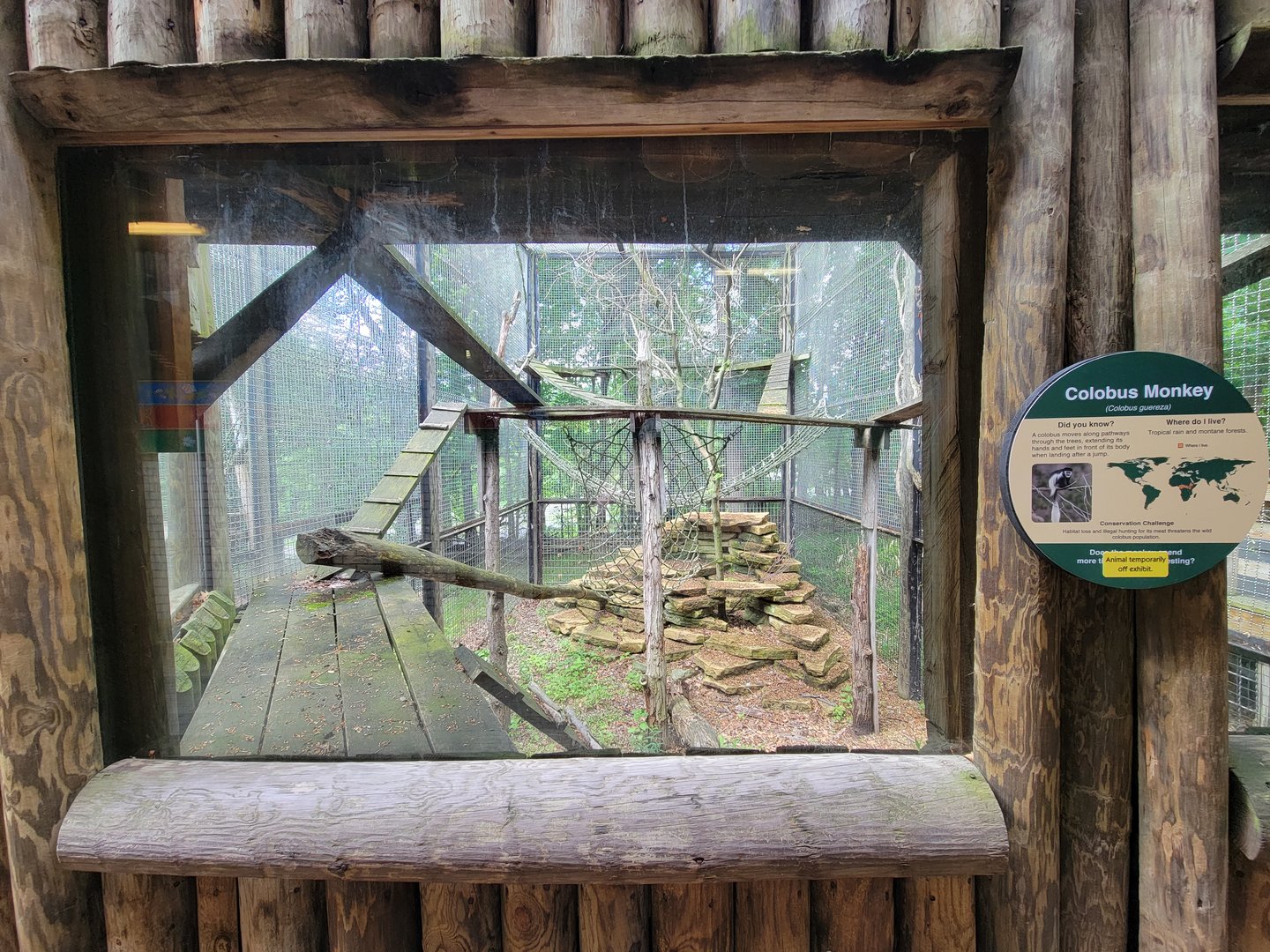 Cleveland Zoo - PCA outside, Guereza colobus (unseen)
