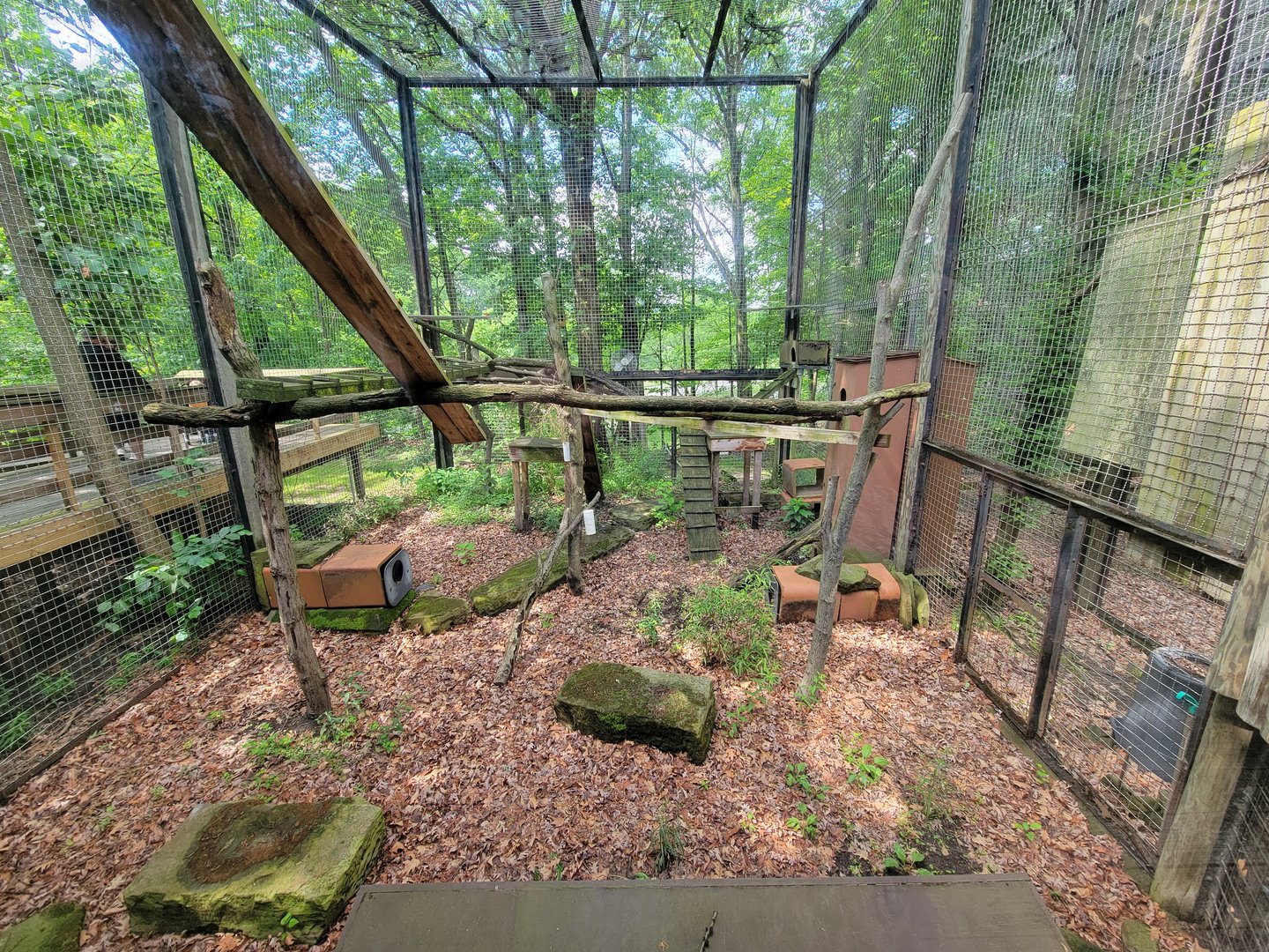 Cleveland Zoo - PCA outside, Red panda (unseen)