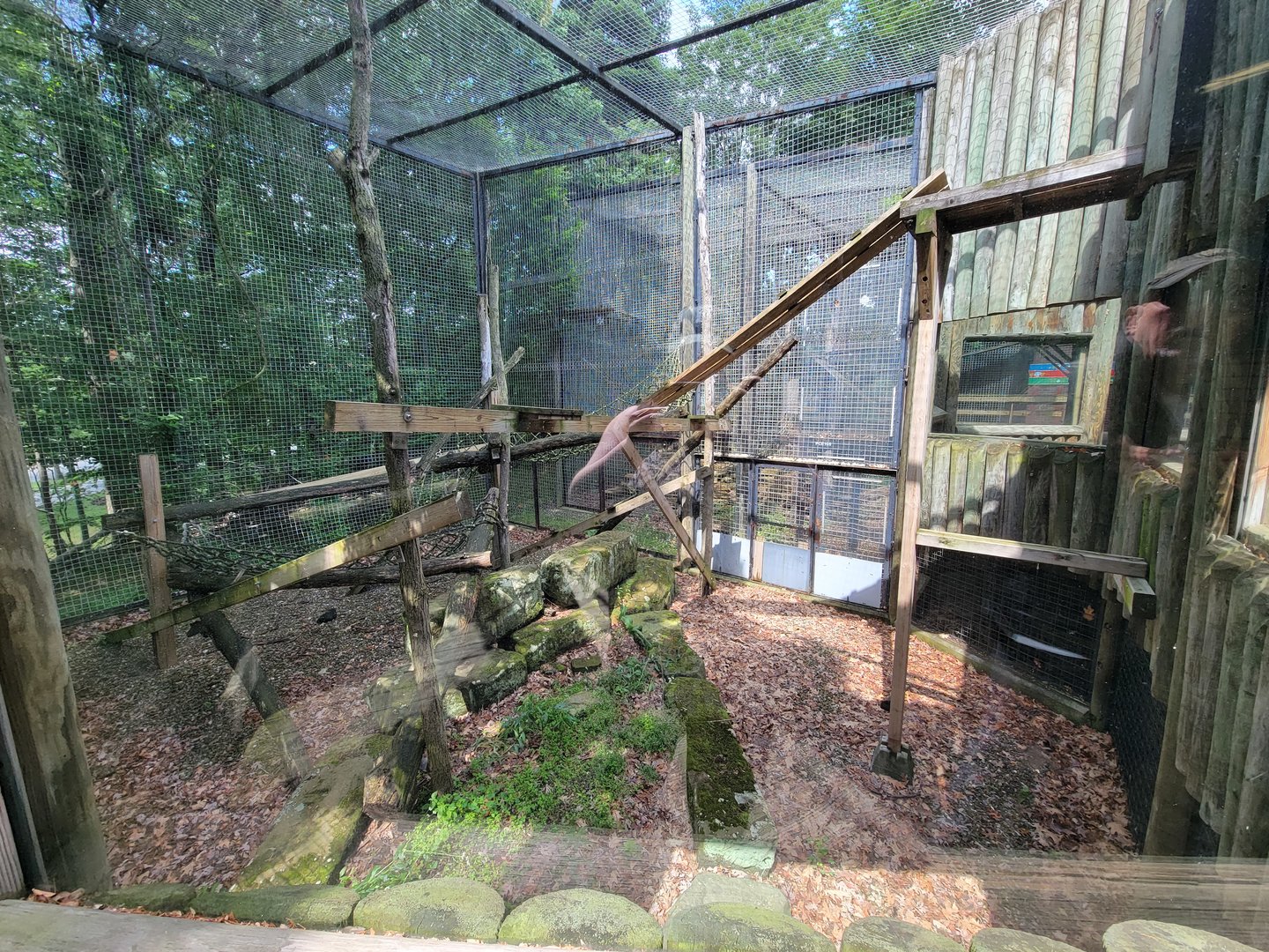 Cleveland Zoo - PCA outside, Red panda (unseen)