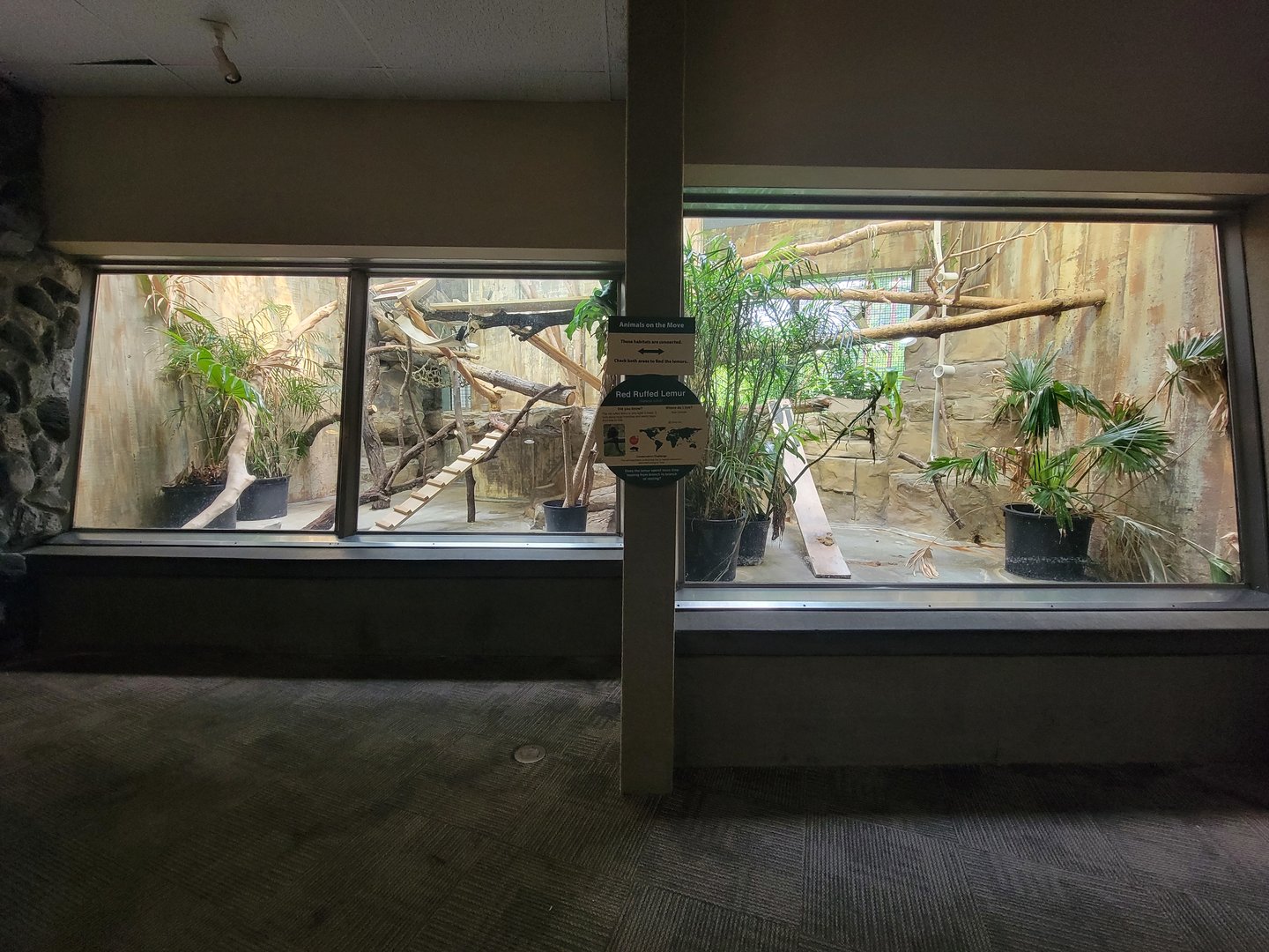 Cleveland Zoo - PCA, Red ruffed lemurs