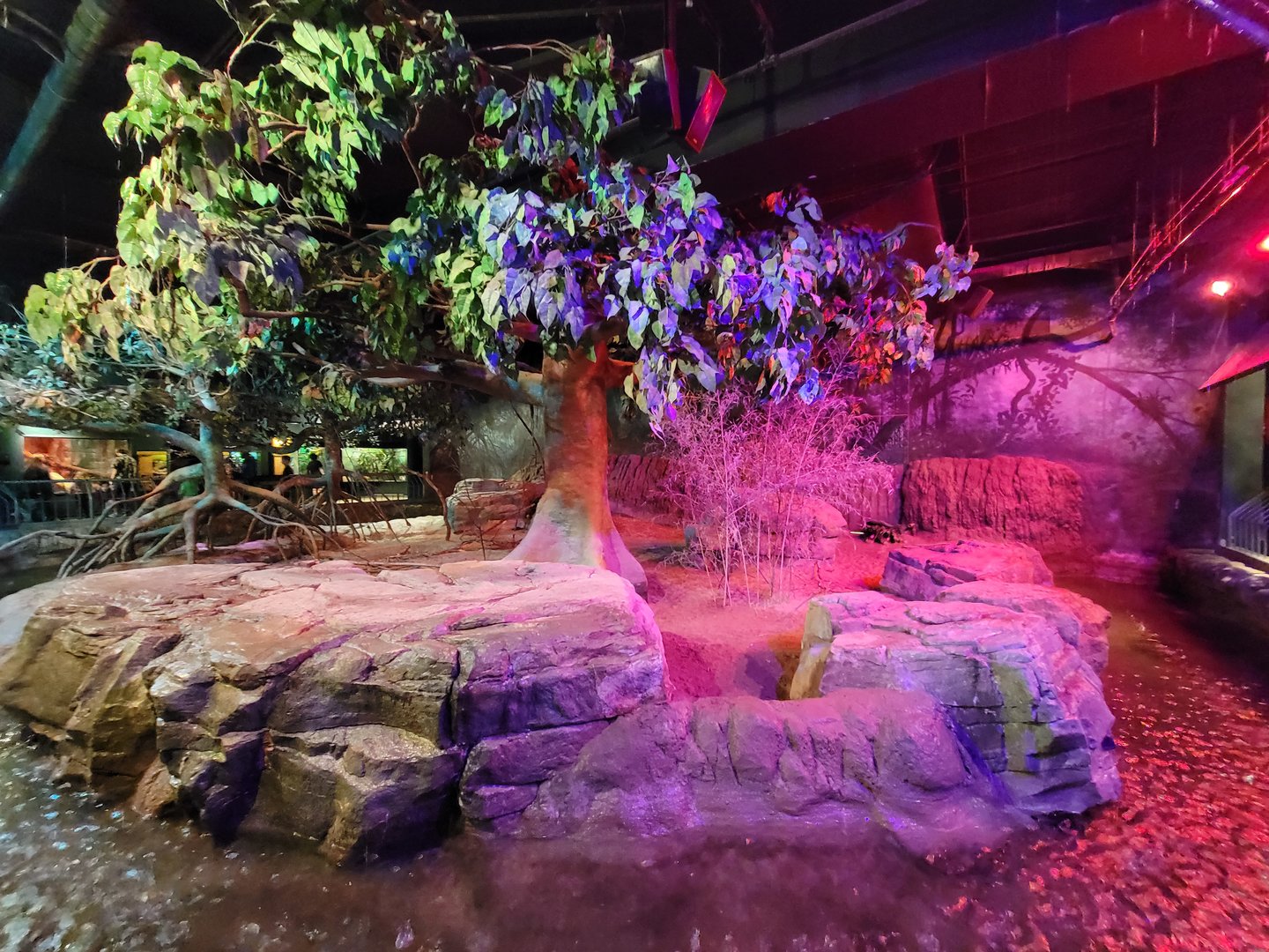 Cleveland Zoo, Rainforest - Cape porcupine and various fishes