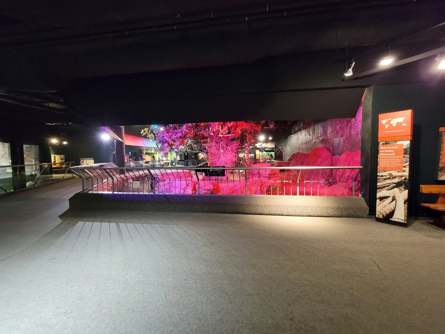 Cleveland Zoo, Rainforest - Cape porcupine and various fishes