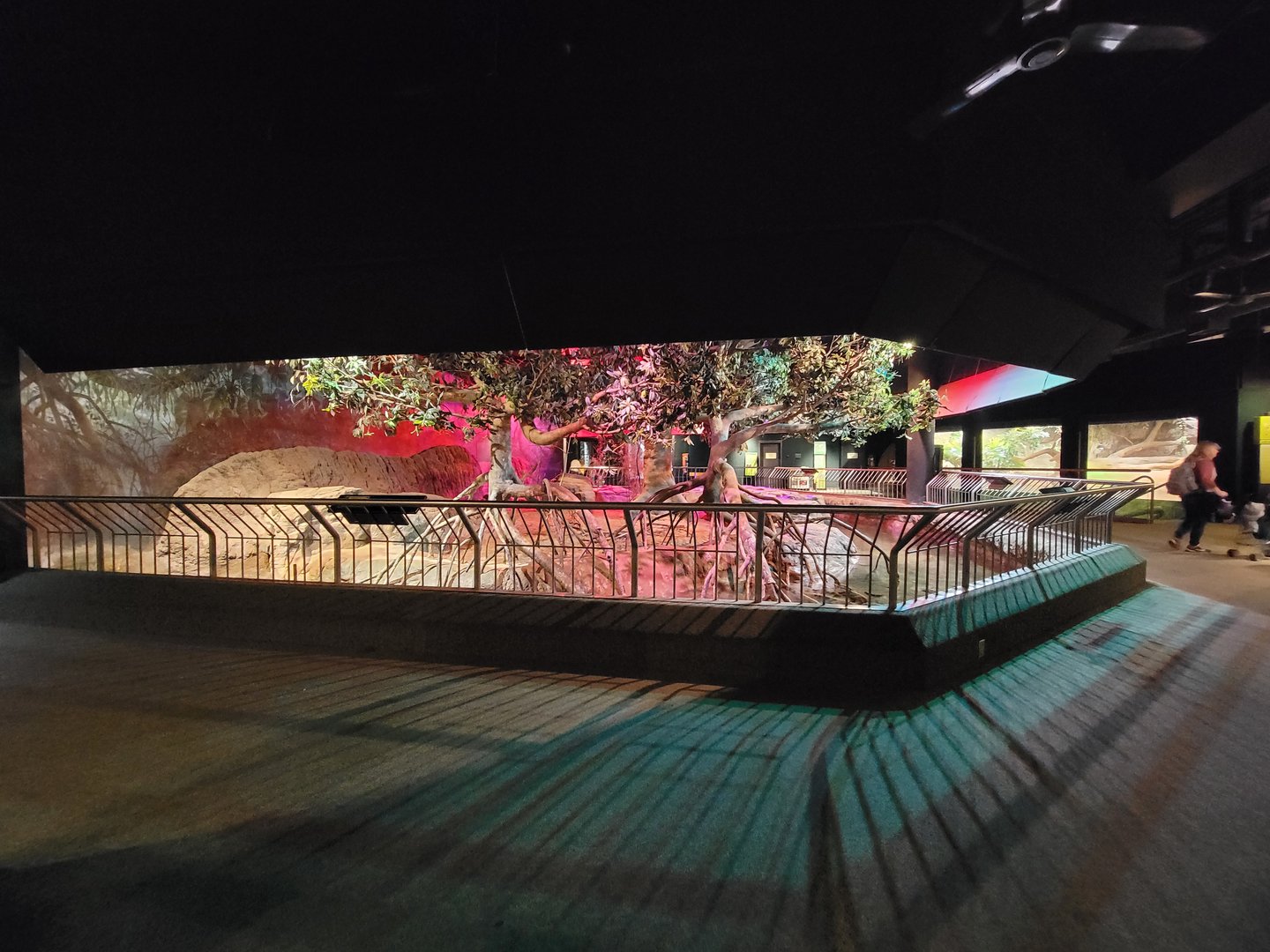 Cleveland Zoo, Rainforest - Cape porcupine