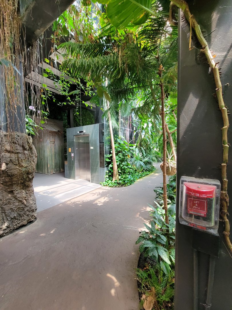 Cleveland Zoo, Rainforest - First floor, elevator