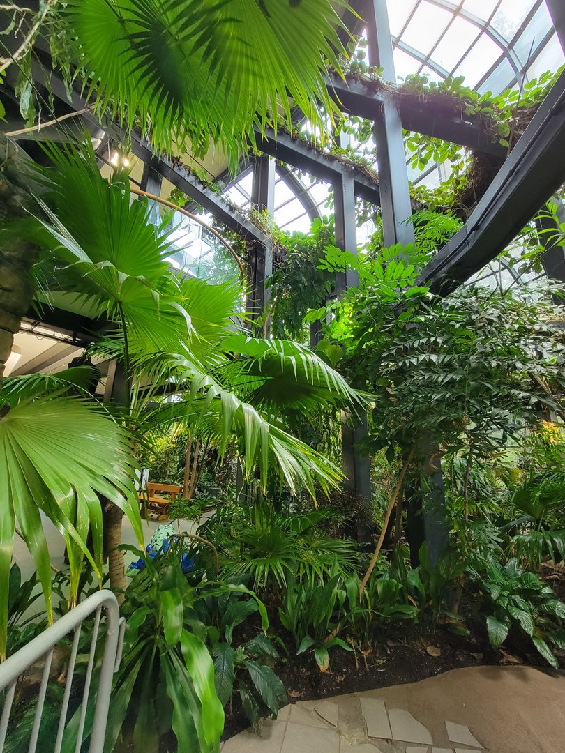 Cleveland Zoo, Rainforest - First floor
