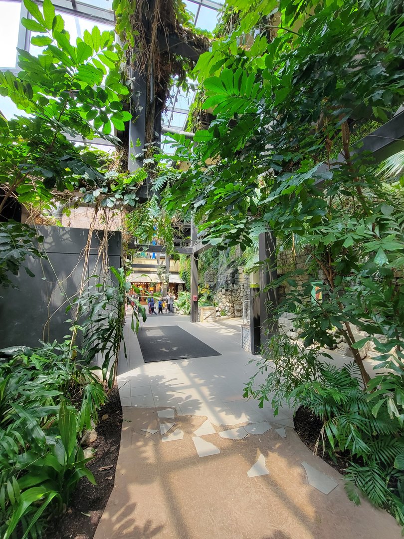 Cleveland Zoo, Rainforest - First floor