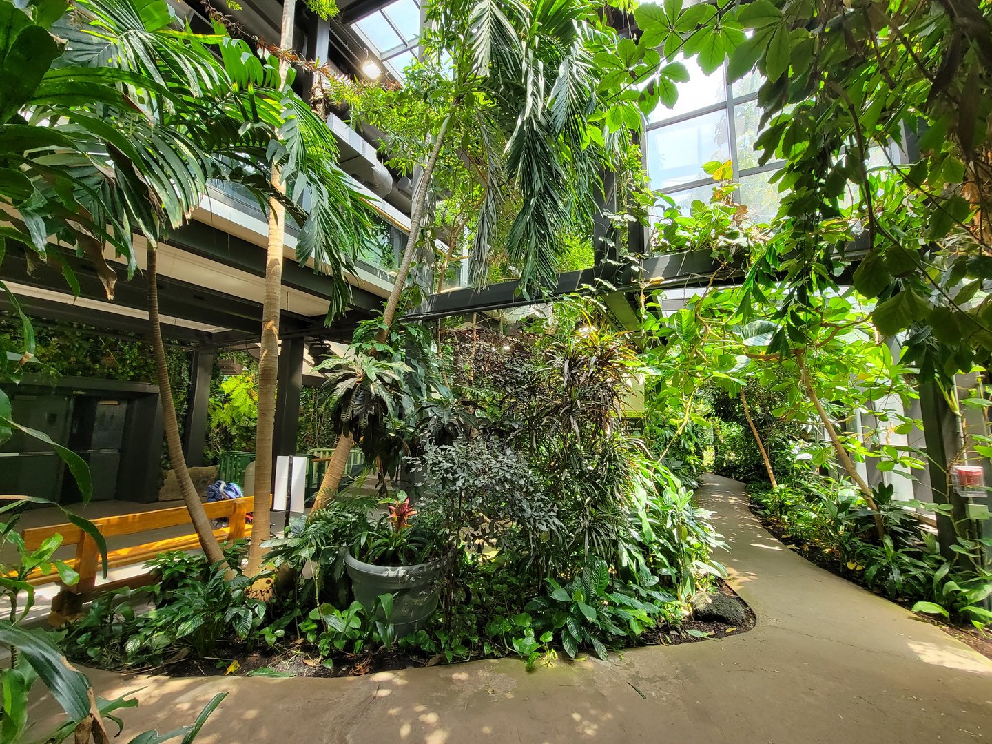 Cleveland Zoo, Rainforest - First floor