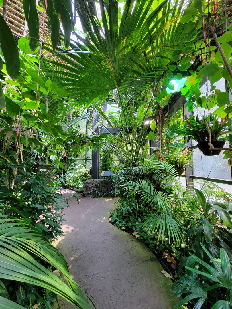 Cleveland Zoo, Rainforest - First floor