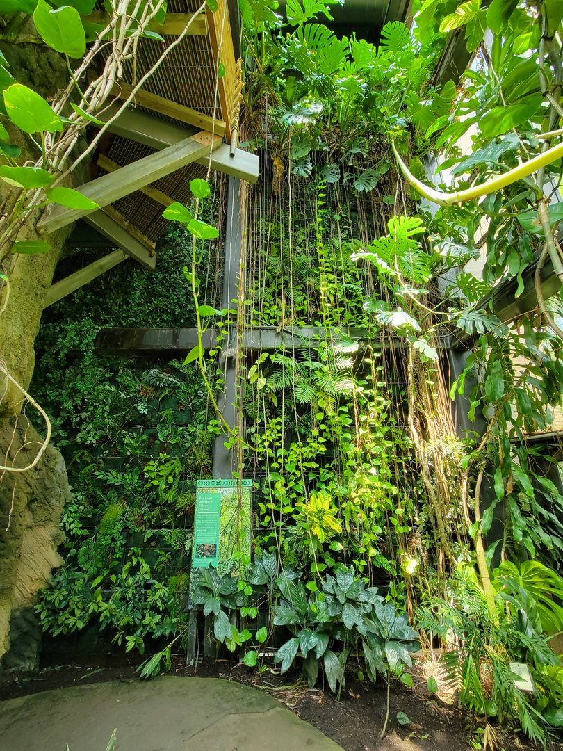 Cleveland Zoo, Rainforest - First floor