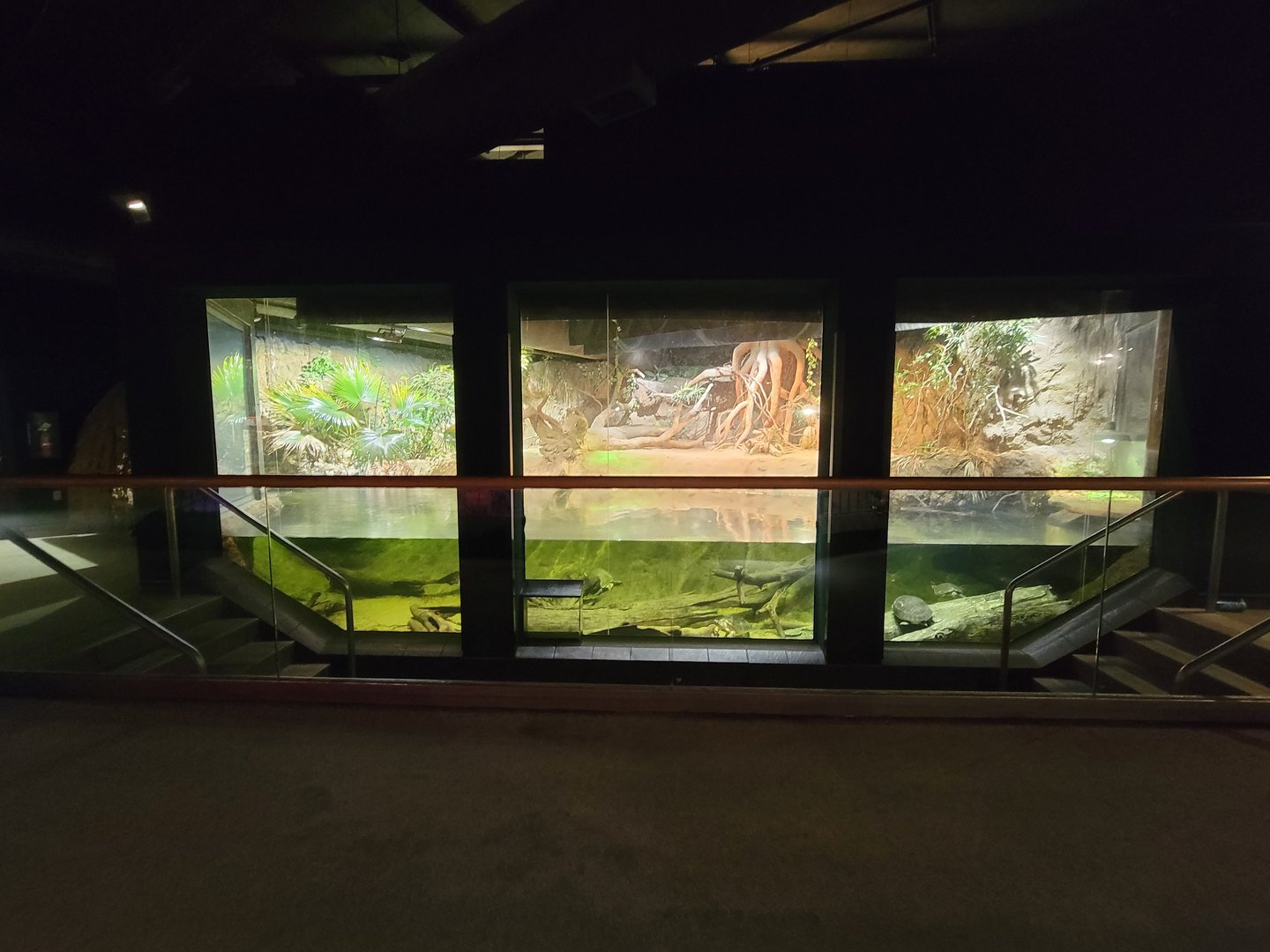 Cleveland Zoo, Rainforest - Gharial exhibit