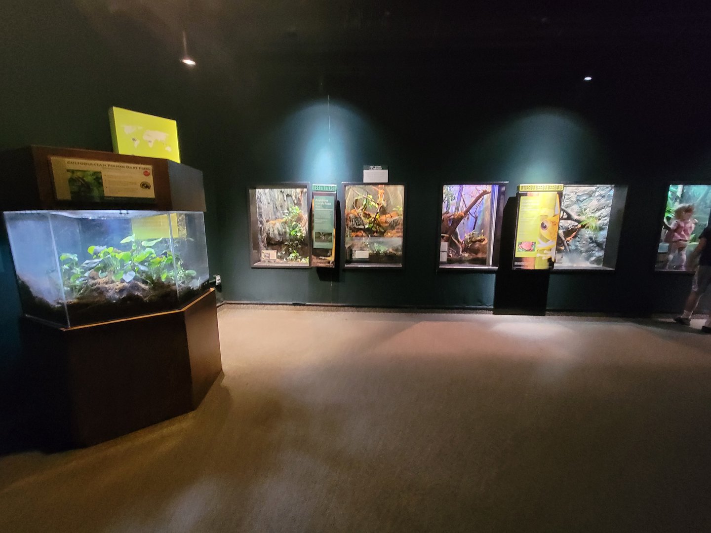 Cleveland Zoo, Rainforest - Inside entrance to exhibit area on first floor