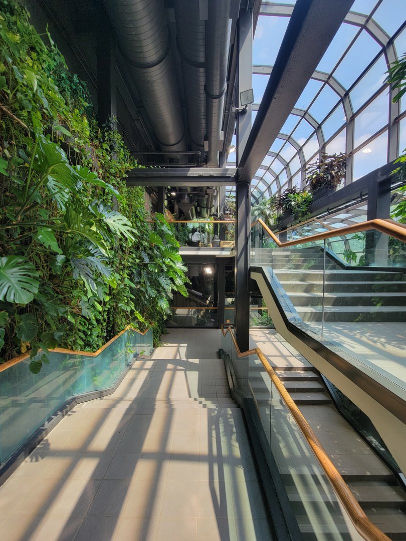 Cleveland Zoo, Rainforest - Main staircase