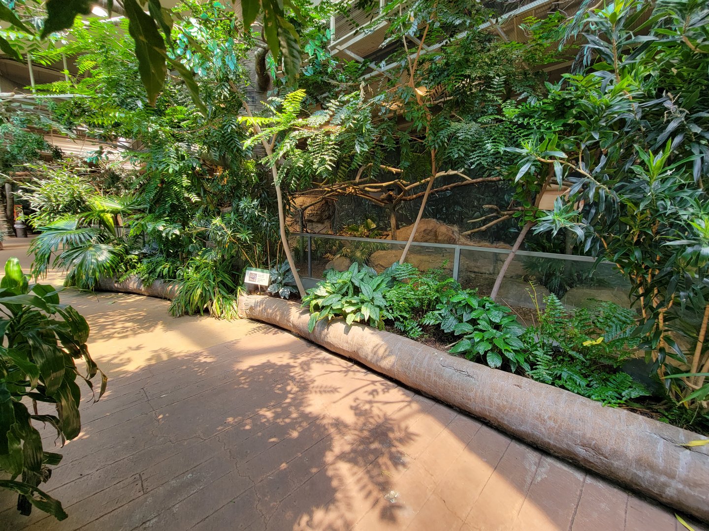 Cleveland Zoo, Rainforest - Outside Research Station, into free flight area