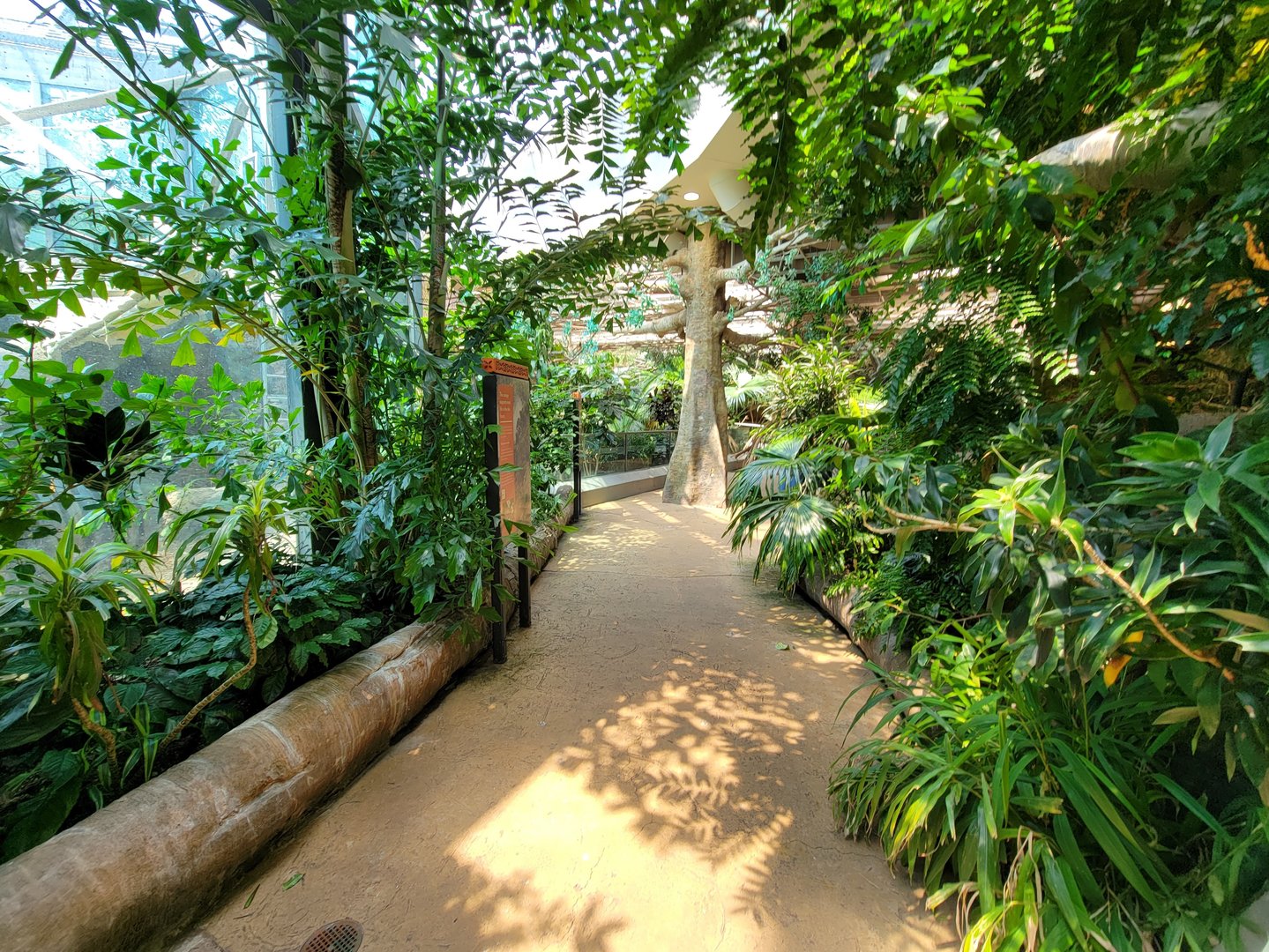 Cleveland Zoo, Rainforest - Path on second floor